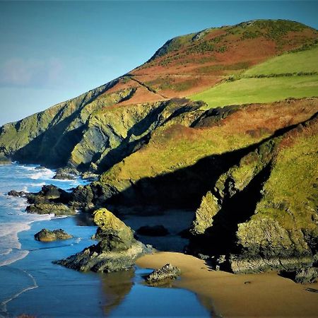 Ffynnon Fendigaid Bed And Breakfast 阿博波恩 外观 照片