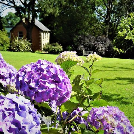 Ffynnon Fendigaid Bed And Breakfast 阿博波恩 外观 照片