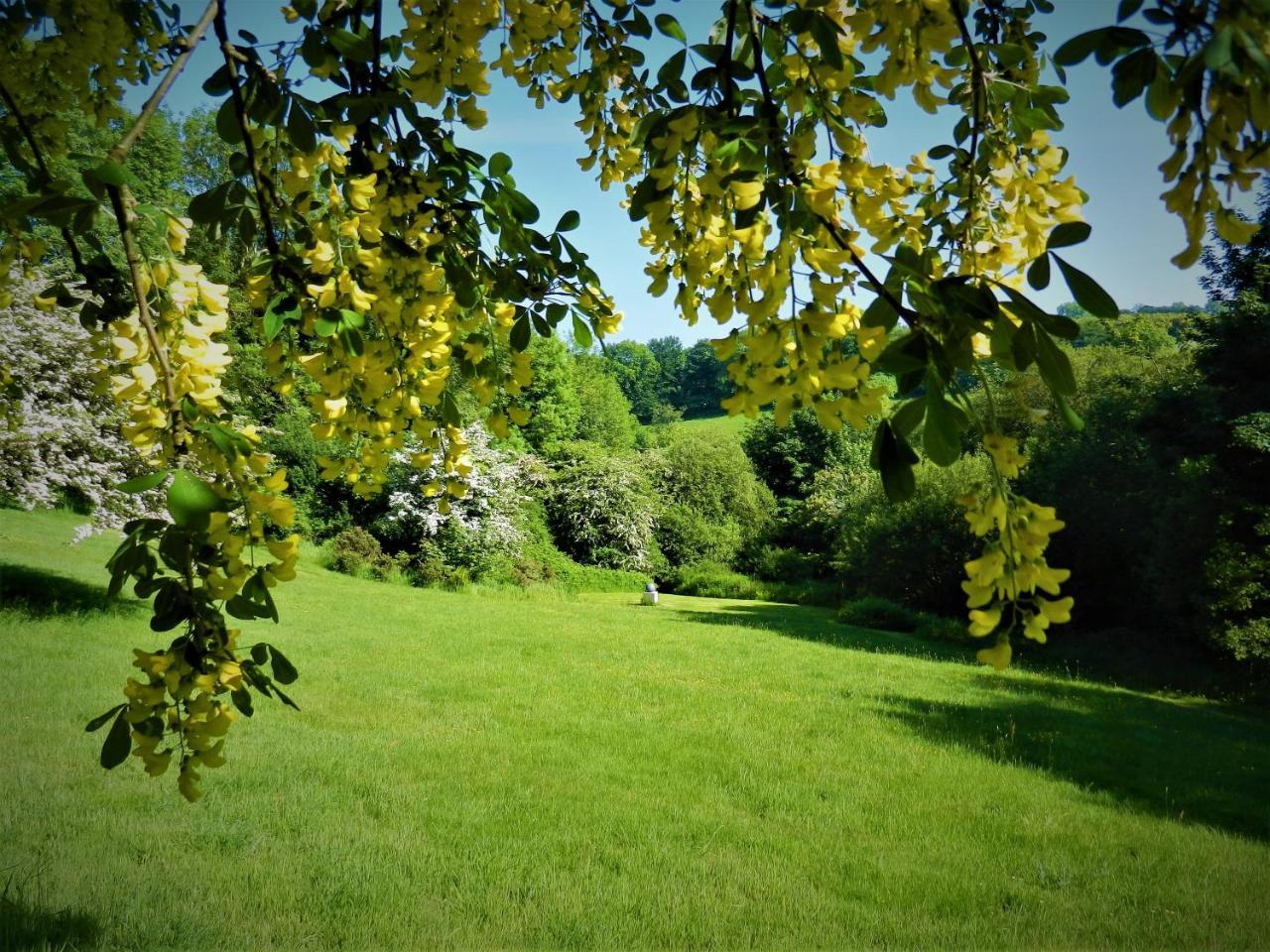Ffynnon Fendigaid Bed And Breakfast 阿博波恩 外观 照片