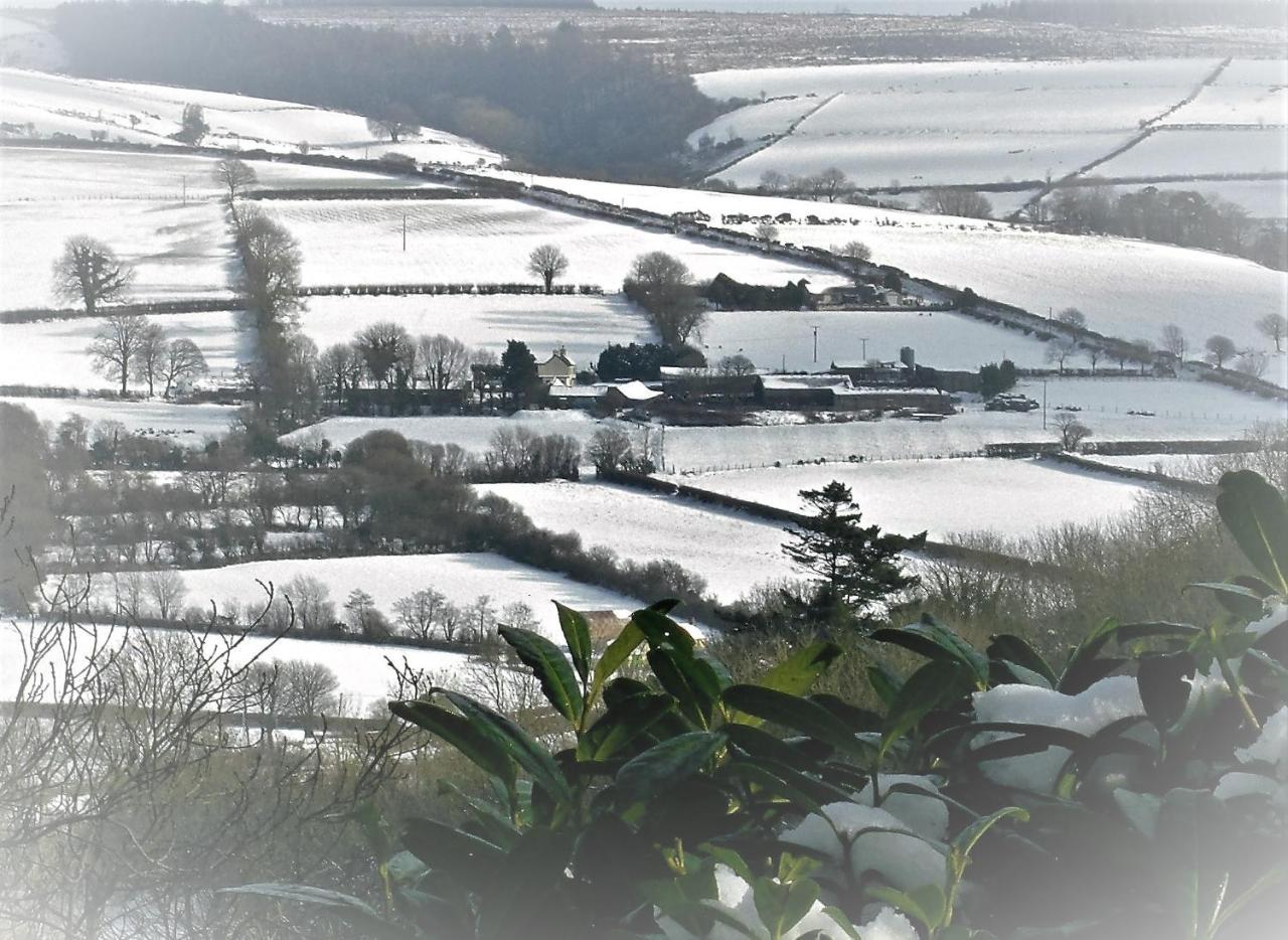 Ffynnon Fendigaid Bed And Breakfast 阿博波恩 外观 照片