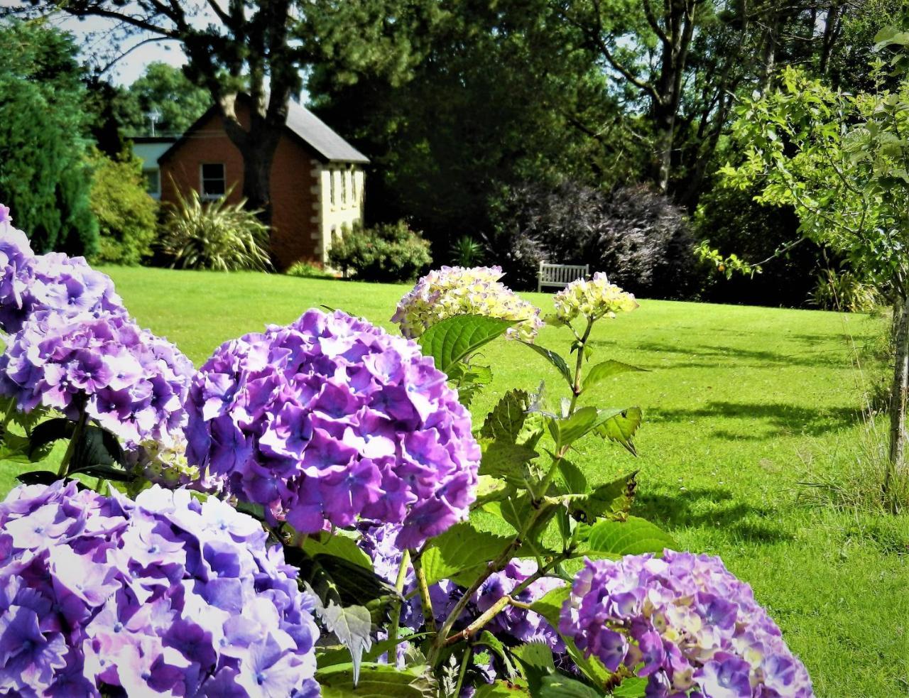 Ffynnon Fendigaid Bed And Breakfast 阿博波恩 外观 照片
